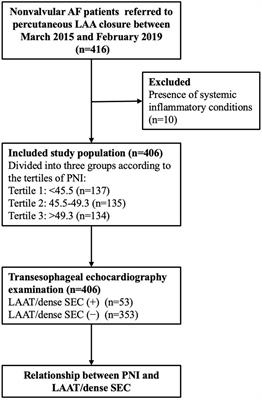 The Prognostic Nutritional Index May Predict Left Atrial Appendage Thrombus or Dense Spontaneous Echo Contrast in Patients With Atrial Fibrillation